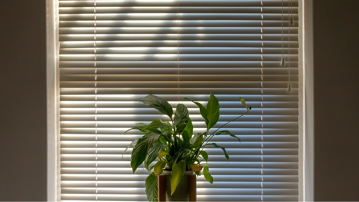 blinds